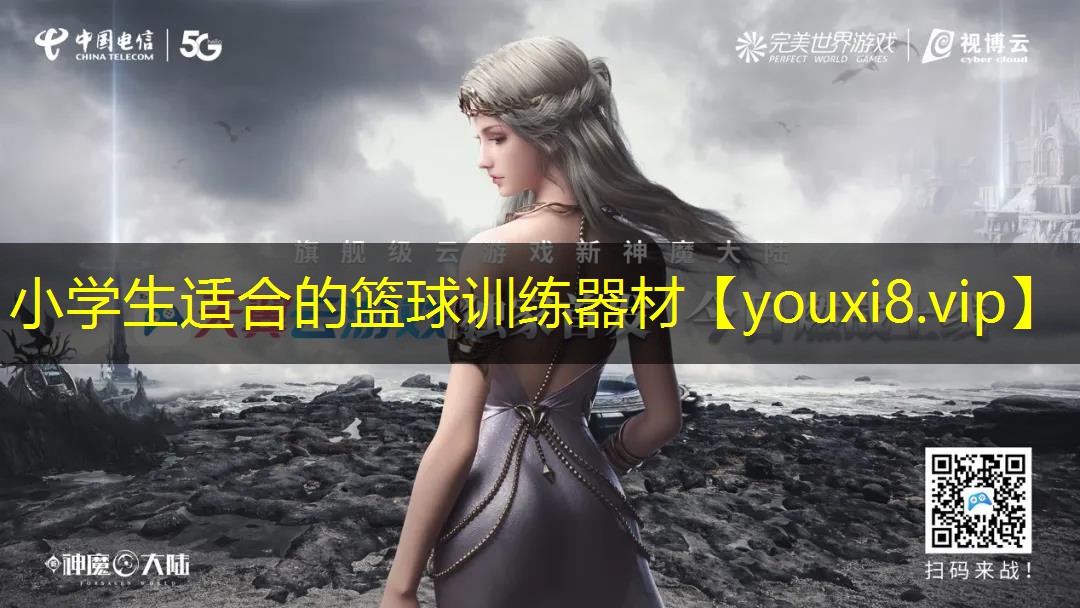 小学生适合的篮球训练器材