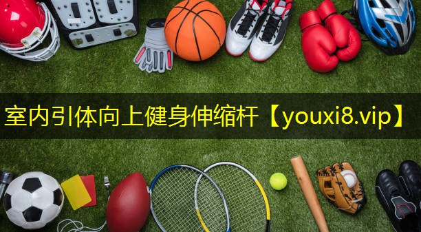 室内引体向上健身伸缩杆