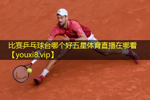 比赛乒乓球台哪个好五星体育直播在哪看