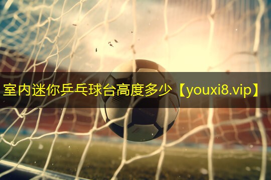 室内迷你乒乓球台高度多少 室内迷你乒乓球台高度多少
